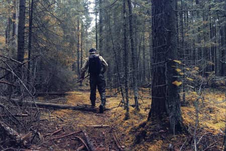Купить диплом Егеря, лесника в Первоуральске