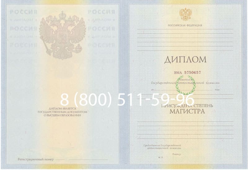 Купить Диплом магистра 2010-2011 годов в Первоуральске